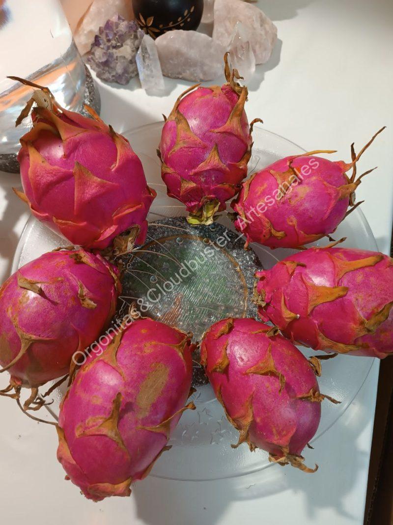 Disco Revitalizador Líquidos y Alimentos. EMF. - Imagen 11