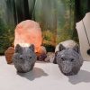 Orgonita Artesanal / Electronite Cabeza Grande de Lobo 850 gr. - Imagen 7